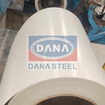 ppgl coil from Dana